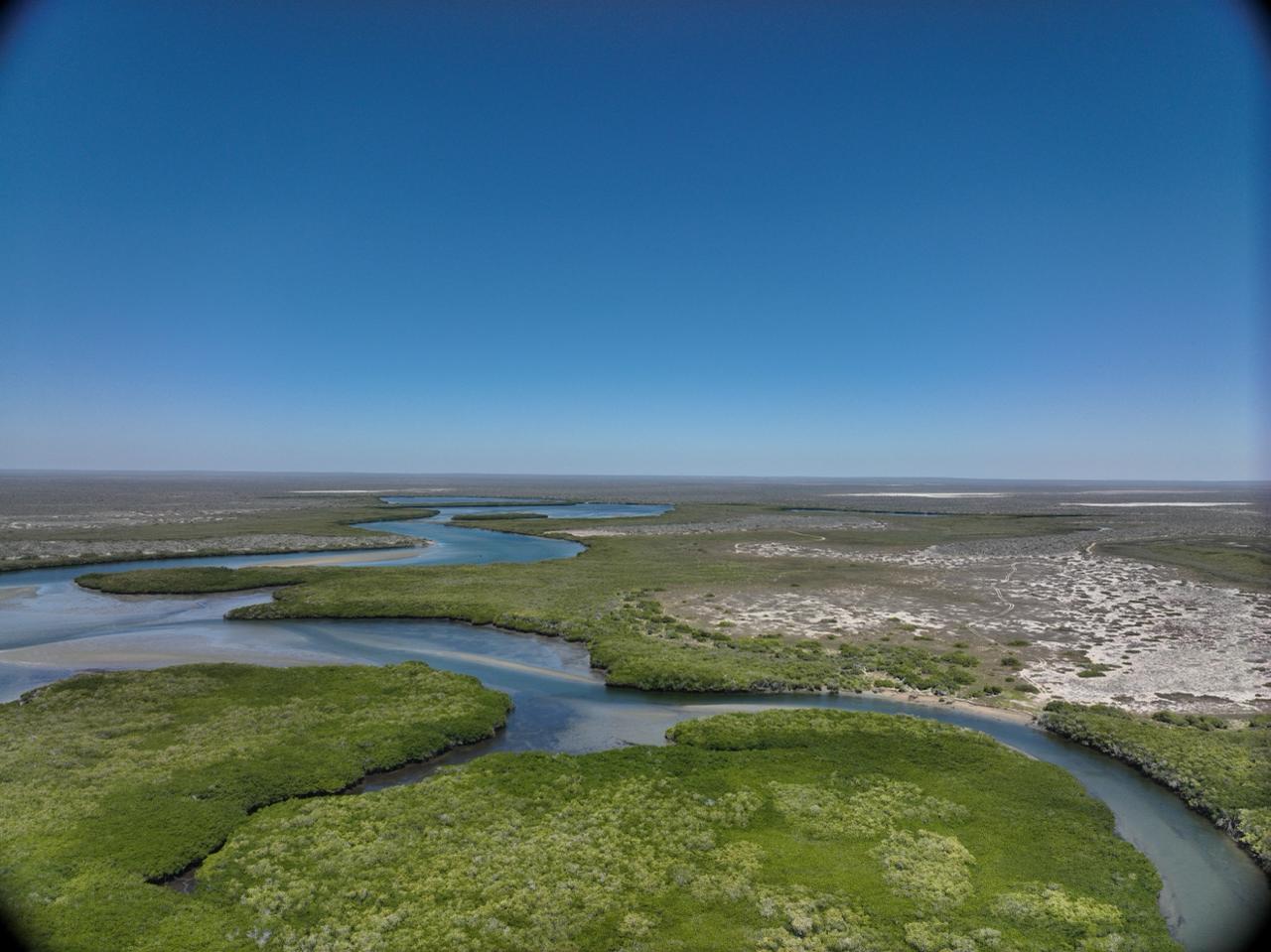 WhatsApp%20Image%202025 06 23%20at%2012.51.58%20PM.jpeg