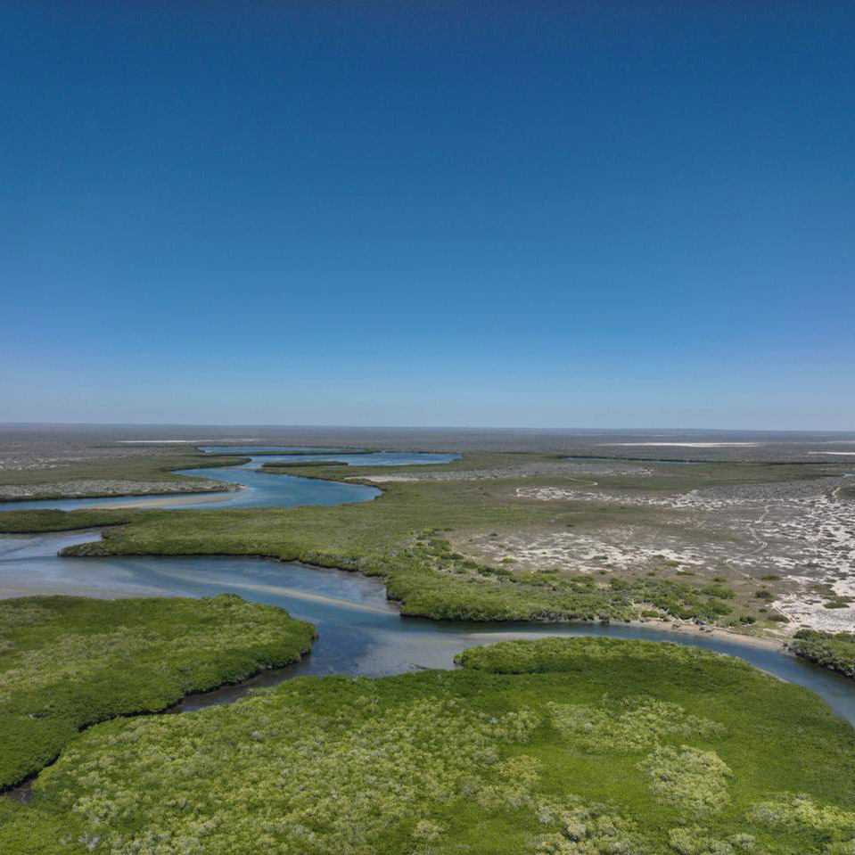 •%20WhatsApp%20Image%202025 06 23%20at%2012.51.58%20PM.jpeg